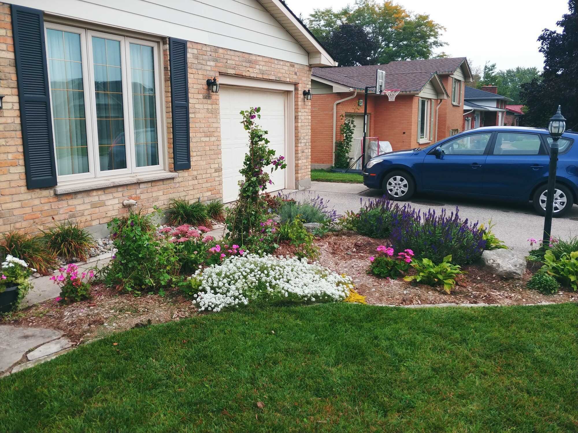 Charming 4 Bedroom, 2 Bathroom Brick Bungalow on a Large, Beautifully Landscaped Property in the Town of Dorchester! 2