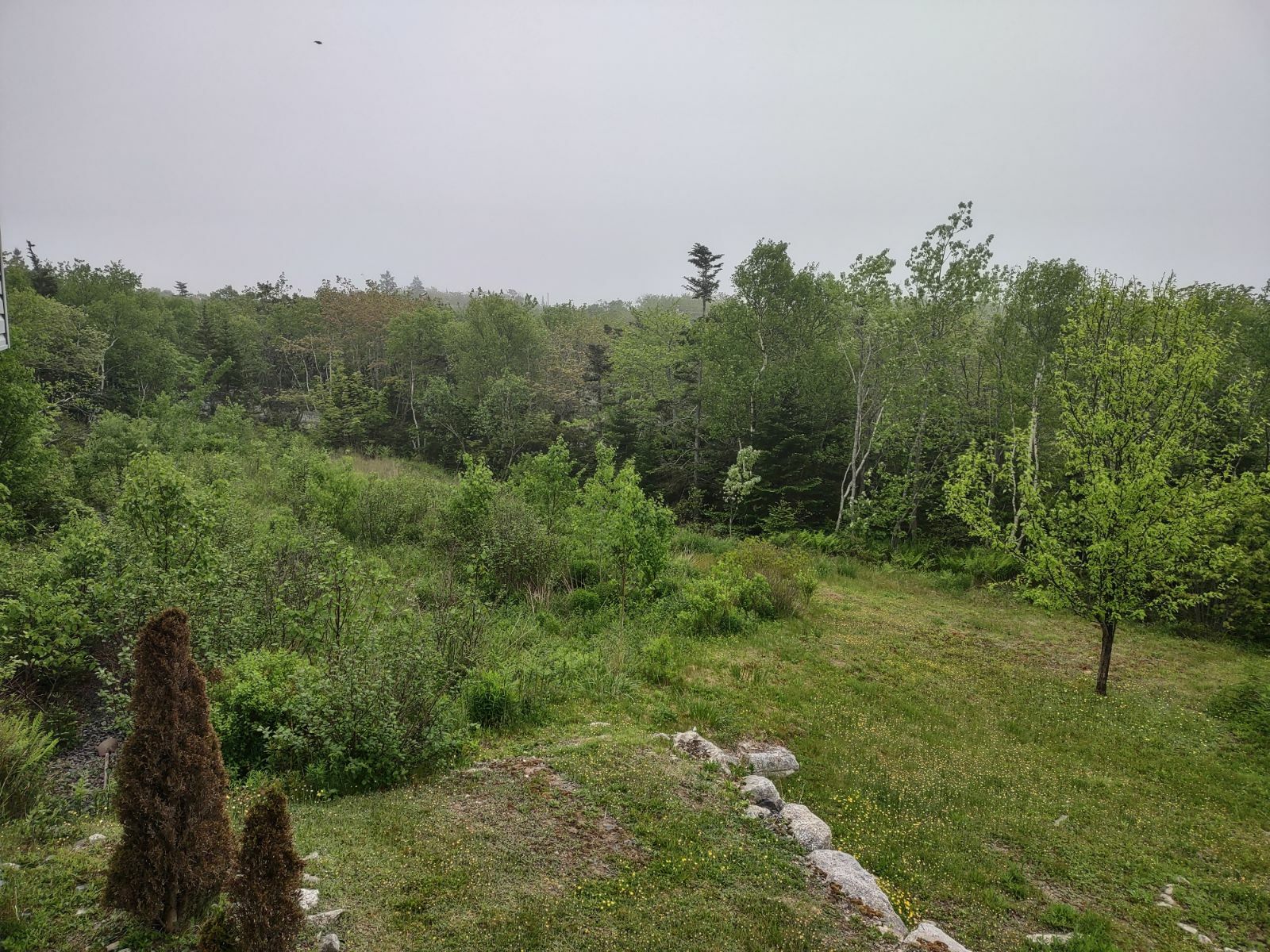 3330 Old Sambro Rd, Williamswood 2