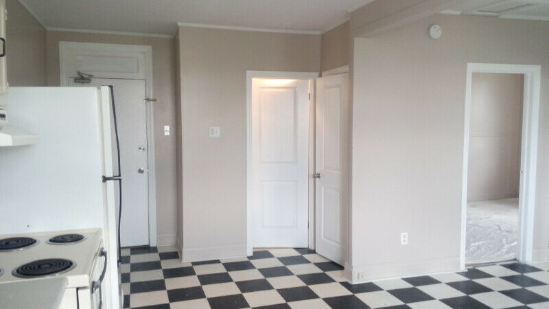 234 Alfred St, Plantagent 3