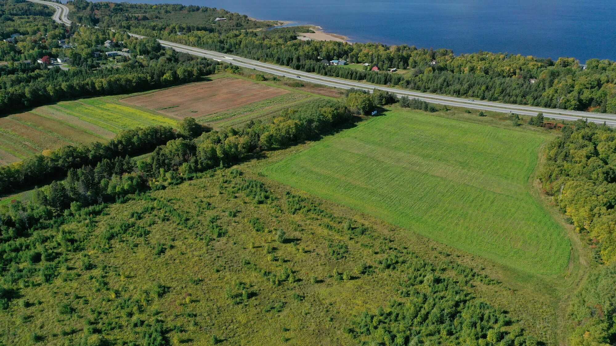 🌟 Rare Opportunity in the Heart of Humber Valley! 🌟 5
