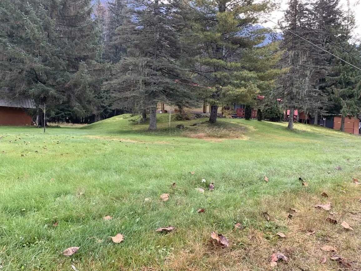 Stewart, BC Cedar Log Home For Sale on a Large Lot 5