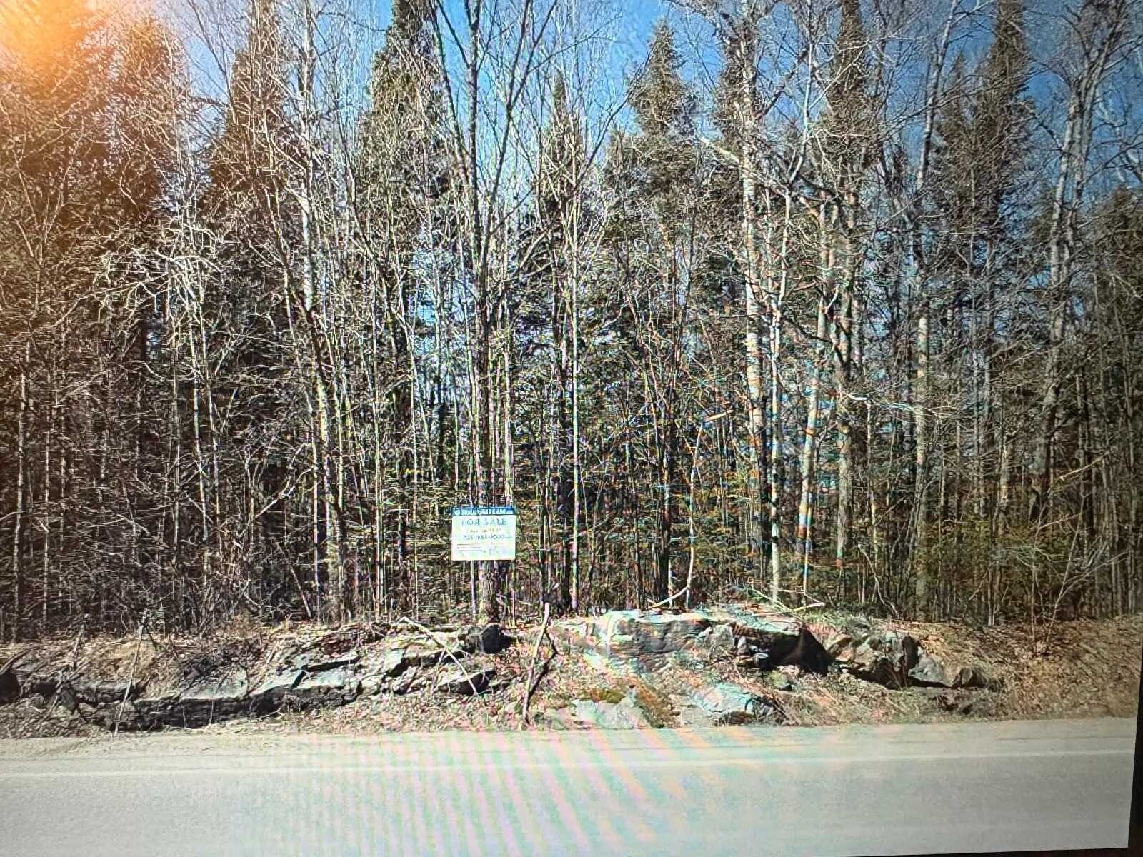Land for sale 5