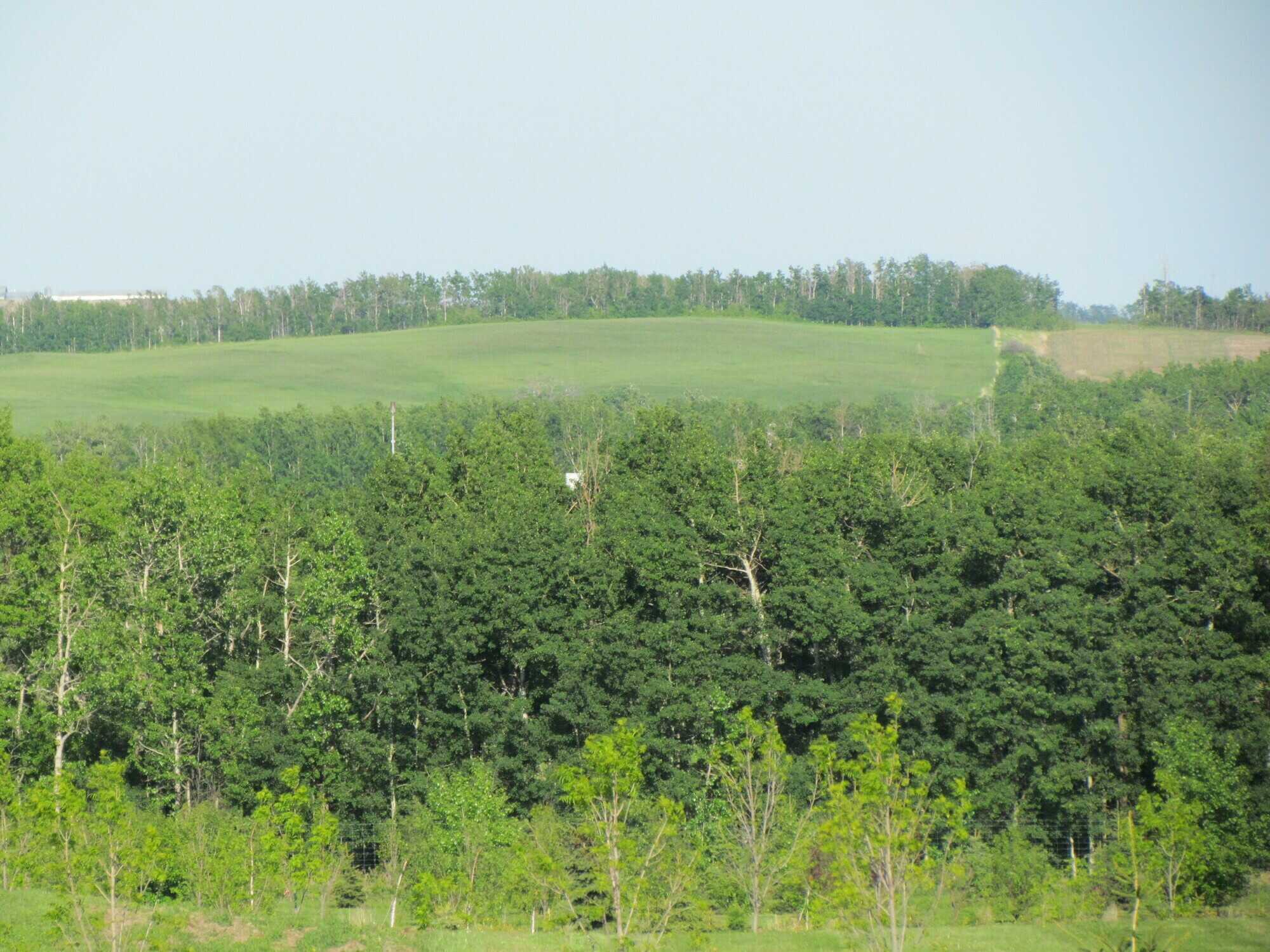 Lot 12 - 2.87 acres 2