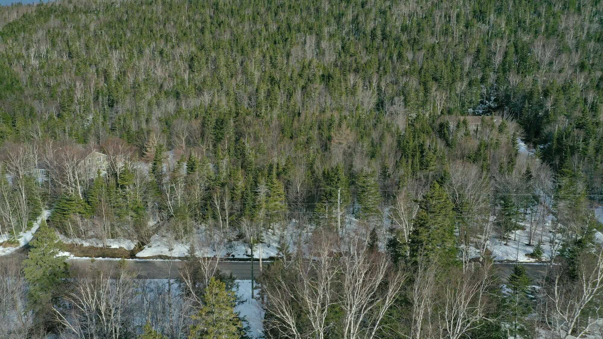 Build your dream home here! 2