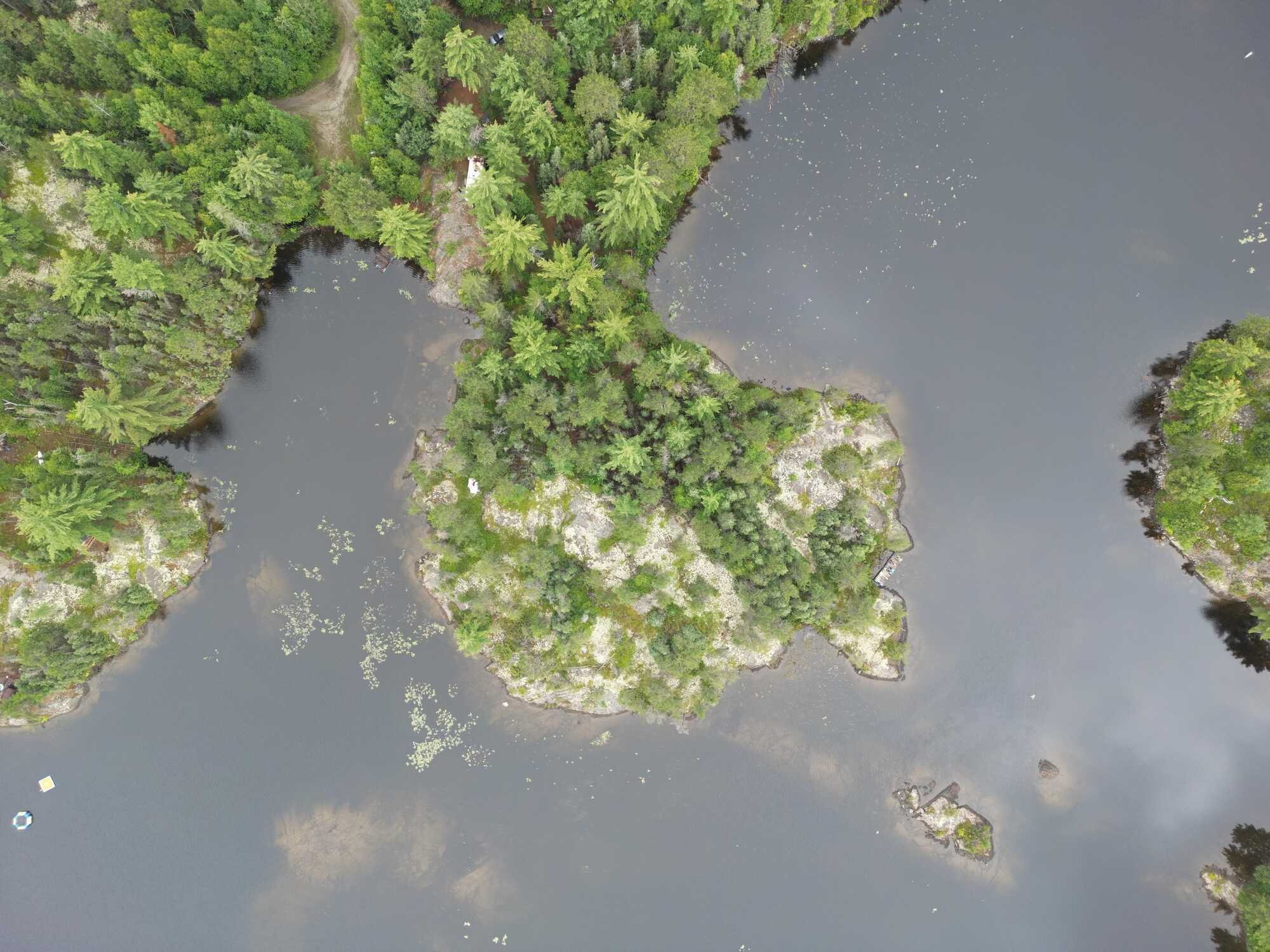 🌿 Tranquil Paradise Nestled on 1.78 Acres 🌿 4