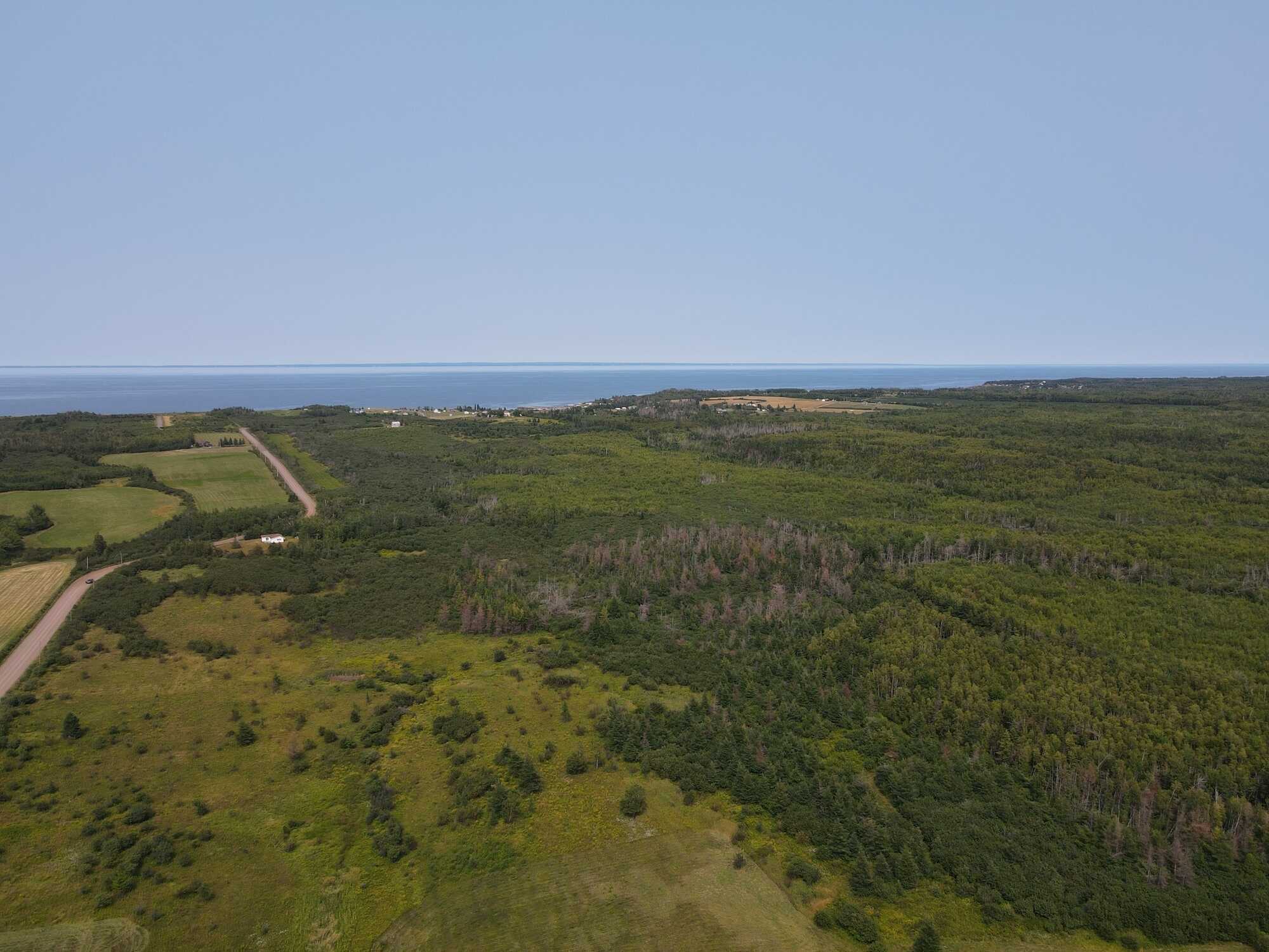 15 Acres in Beautiful Cape John! 3