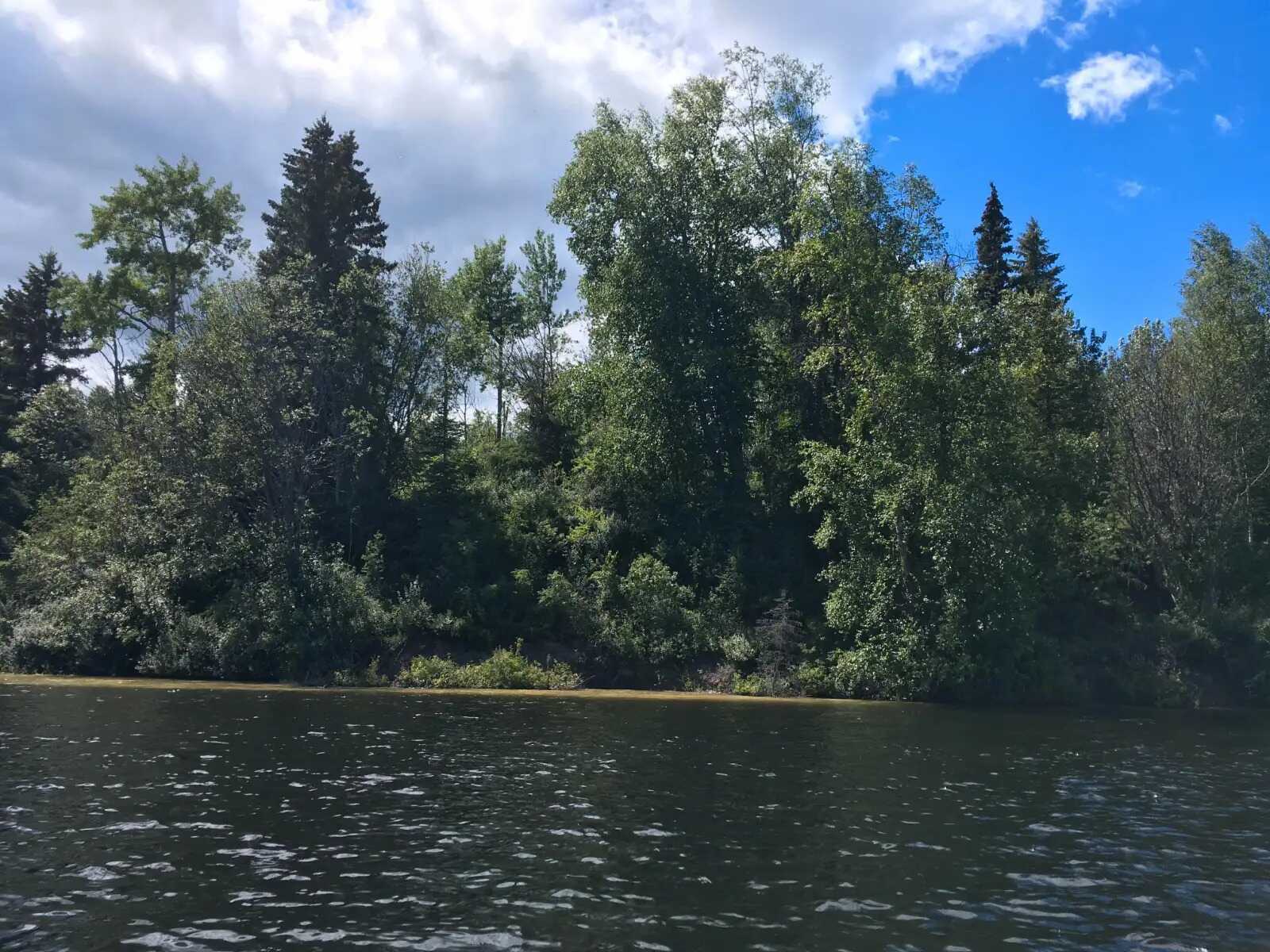 3/4 acre Waterfront Island Lot 2