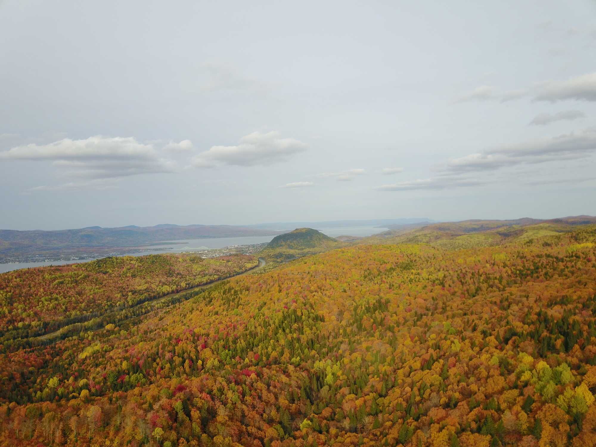Forest Mountain Land for Sale 4