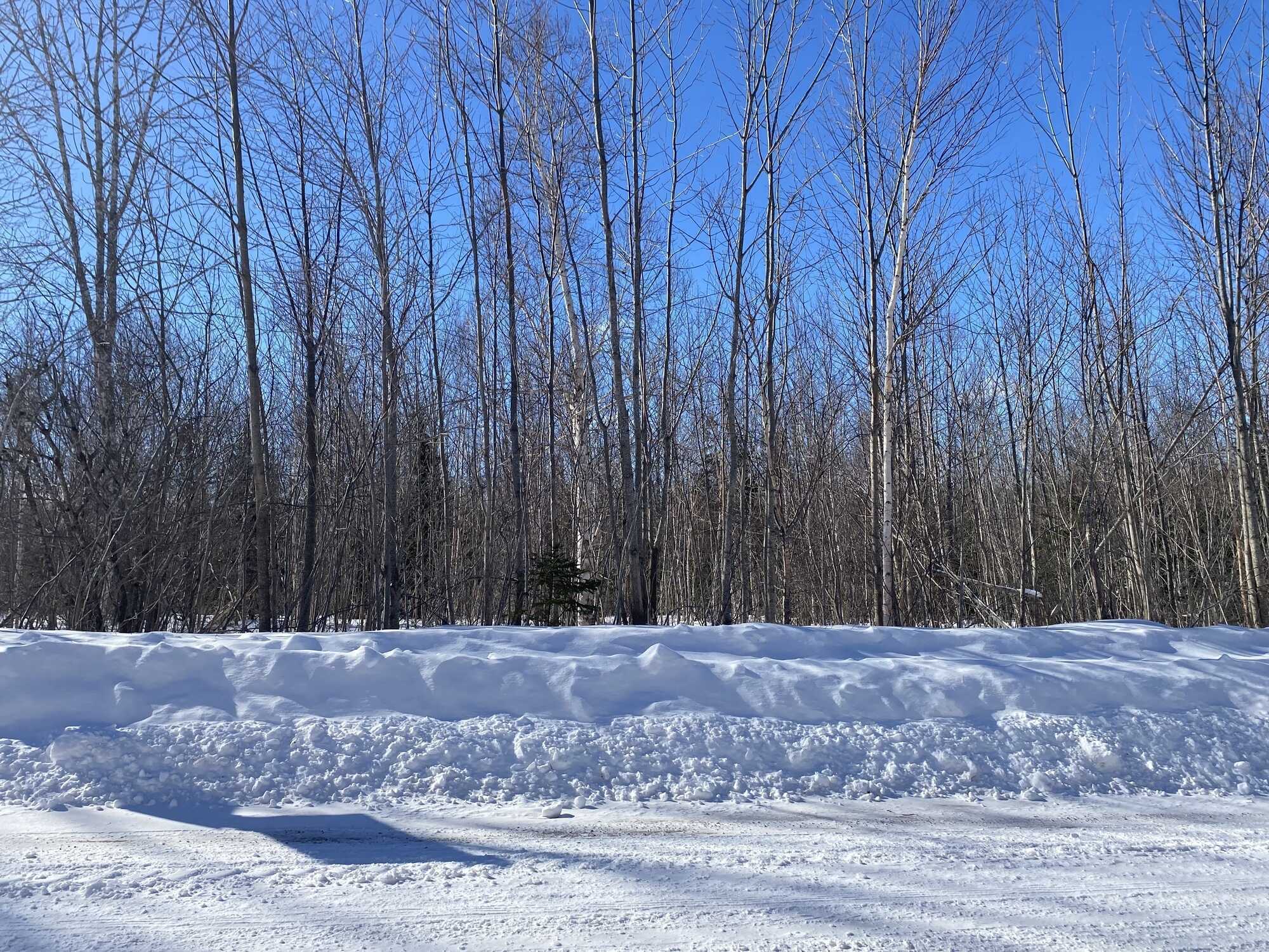14 acres! Private with room to grow and develop! 5