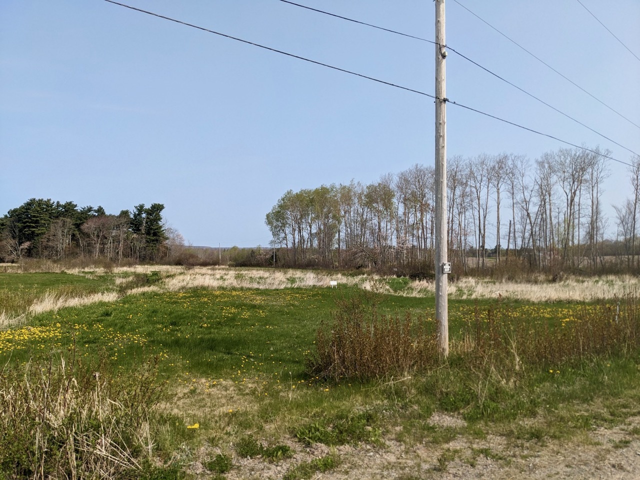 10 fertile acres of land near Berwick, on secluded, no exit, Dodge and Durling Road. 2