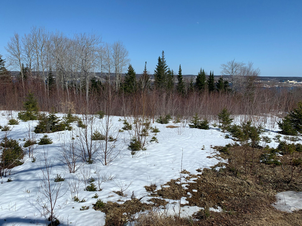 Serviced lot in Mulgrave 3