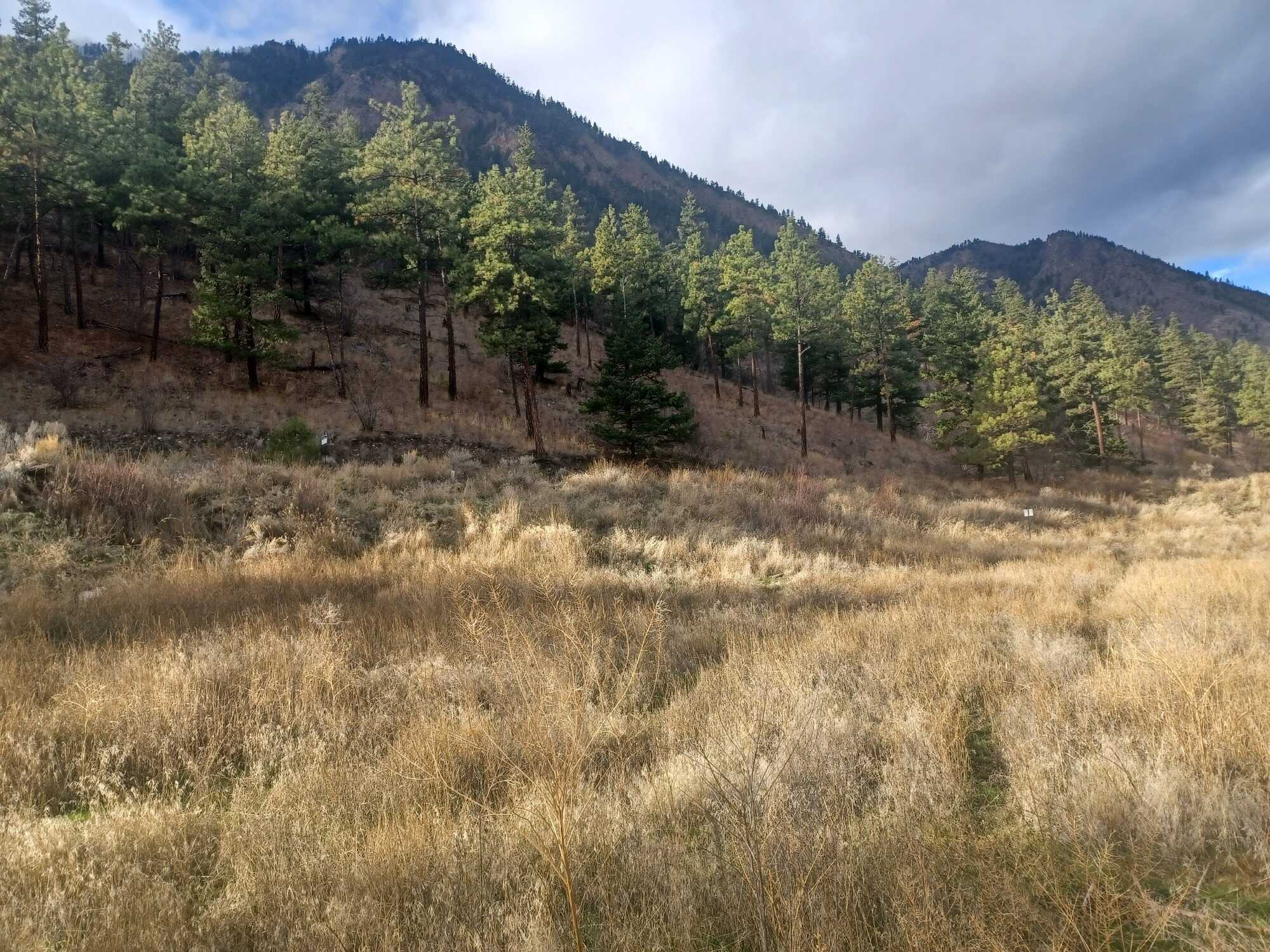 Lot for Sale - Lillooet 2