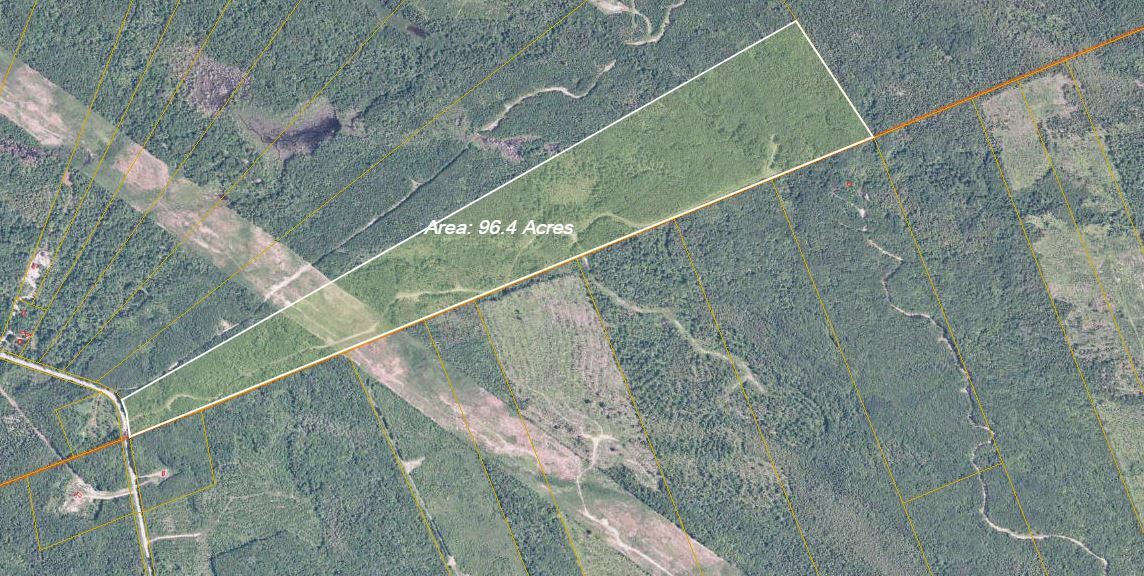 100 acre Wood Lot / Terre à bois 100 acres
TERRE A BOIS CONSTRUCTIBLE ET ÉRABLIERE POSSIBLE, WOOD-LOT POSSIBLE MAPLE GROVE 3
