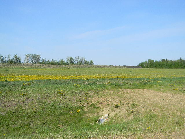 Block 2 Lot 7, Opal 2