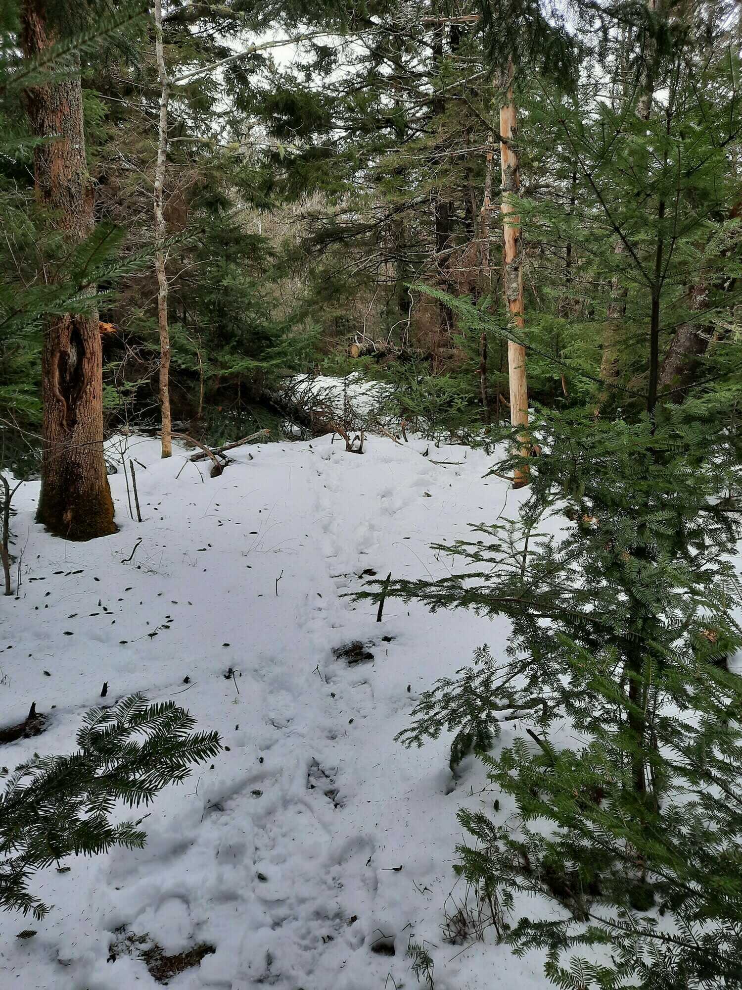 Old farm property with great potential! 3