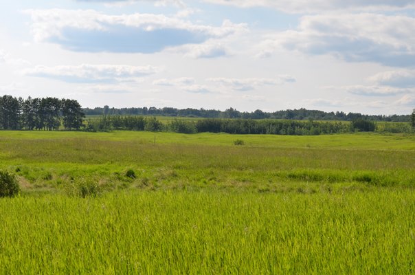 Foxfire Glen Lot 4 Block 2, Rimbey 4