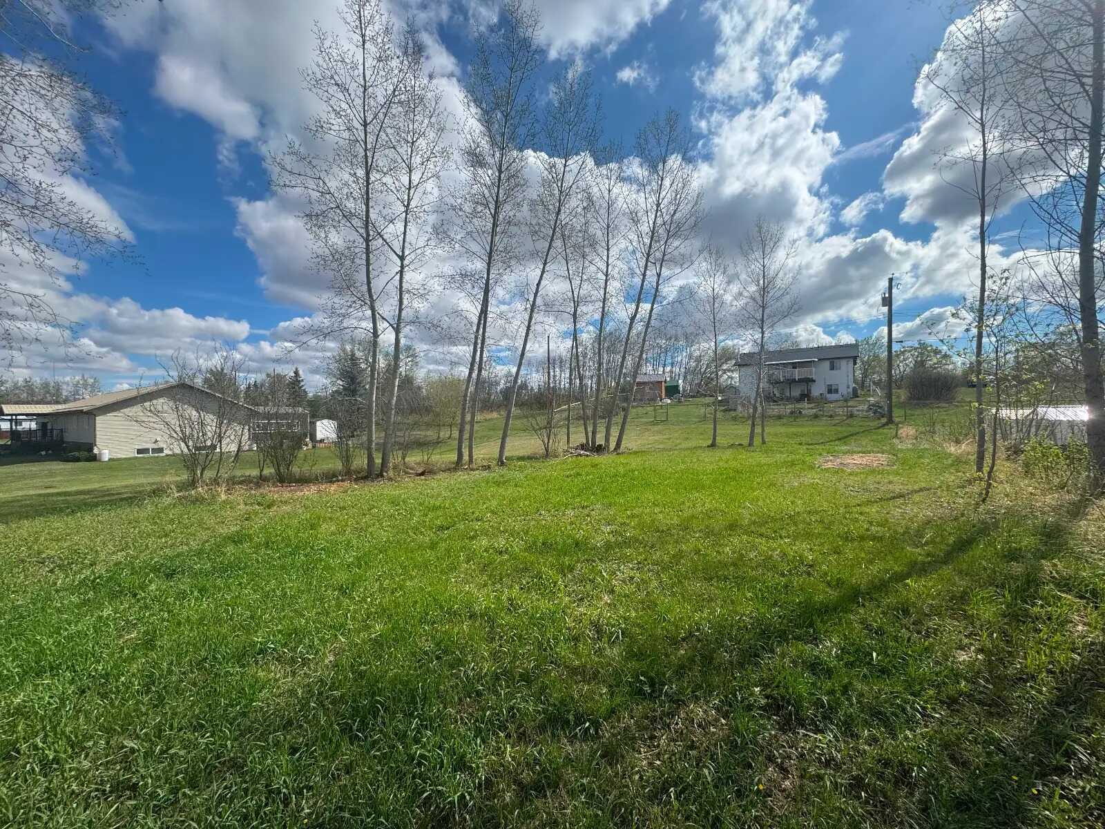 Two Adjacent Land For Sale 3