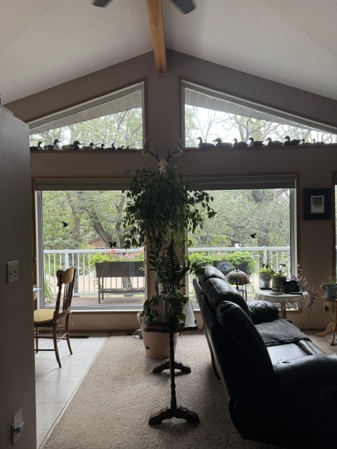 Beautiful 2 level home across from the lake in Killarney, MB 3