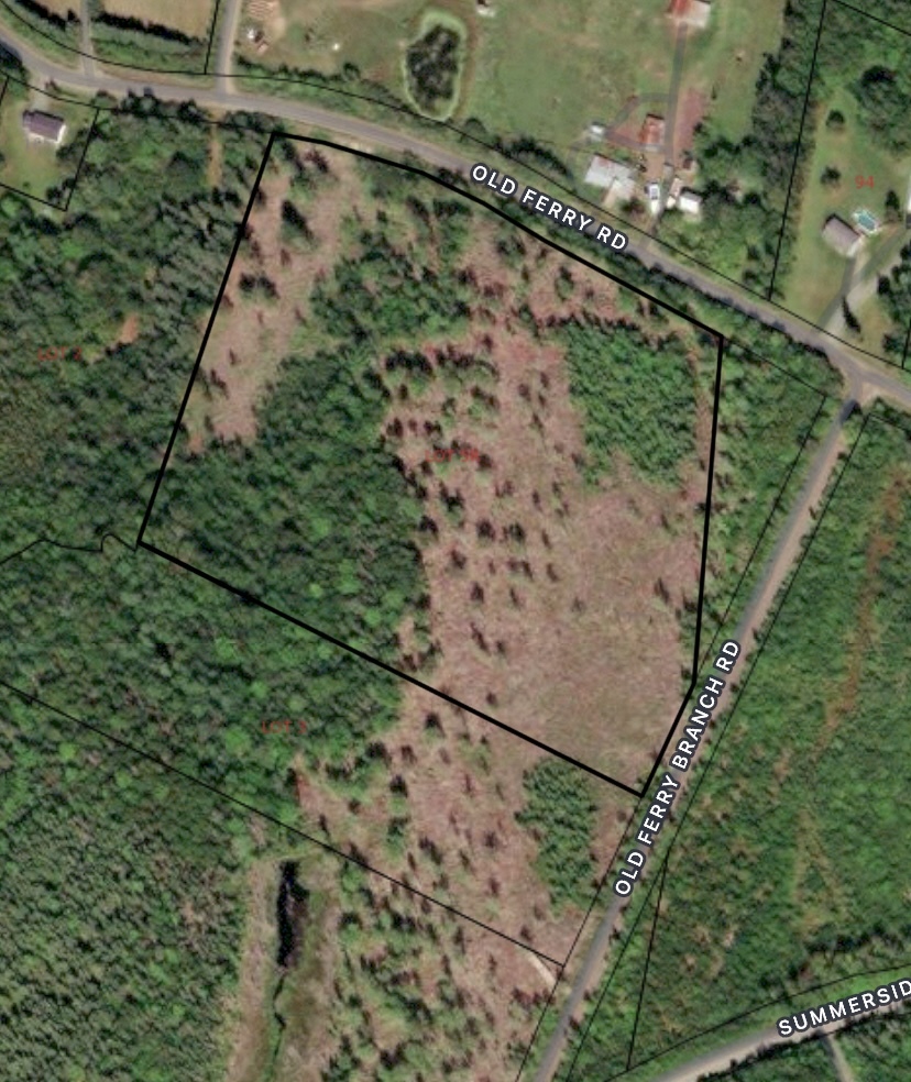 11.5 acres lot! Perfect for anyone seeking privacy and room to grow! 2