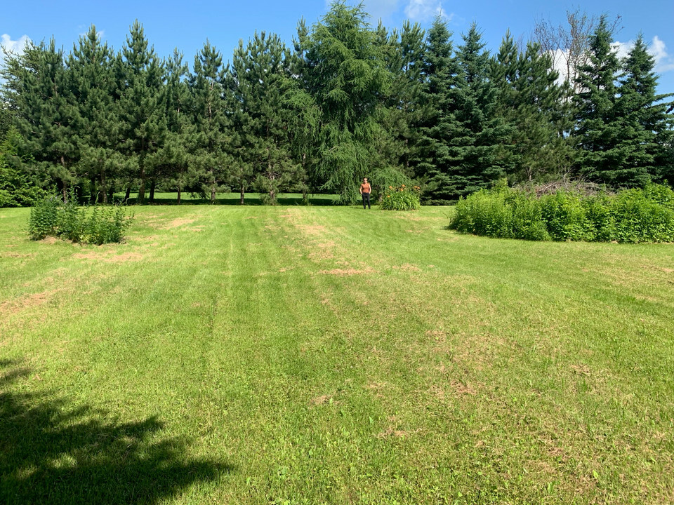 Large Lot in Charlton for sale, open to trades 5
