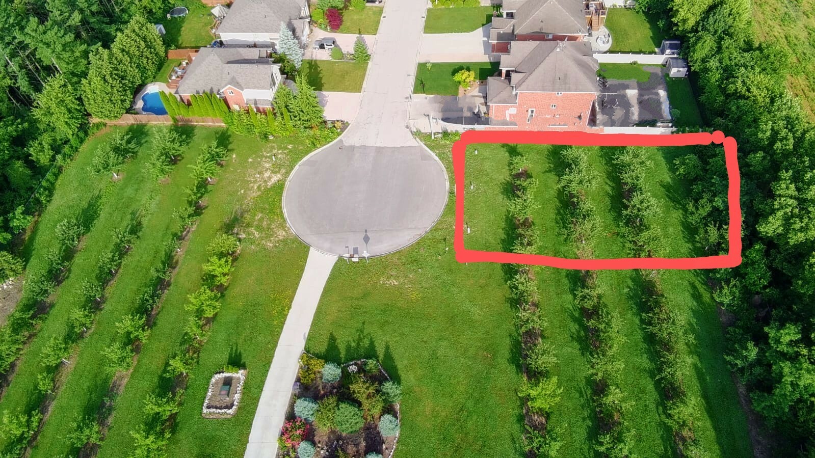 "Dream Lot Backing Onto Green Space & Orchard" 2