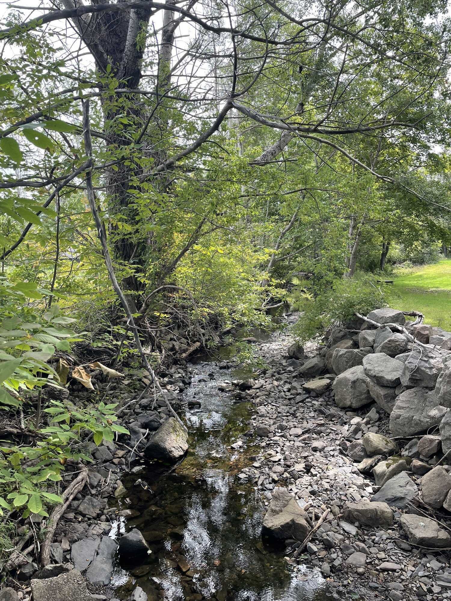 Lot in Mulgrave ready to build! 2