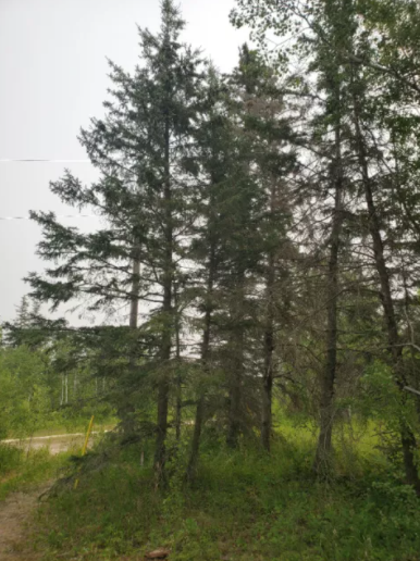 Beach property for sale 2