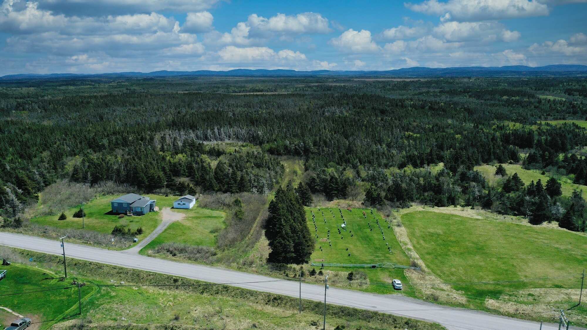 Stunning 88 acres of forested land with breathtaking ocean views...Build your dream home here! 3