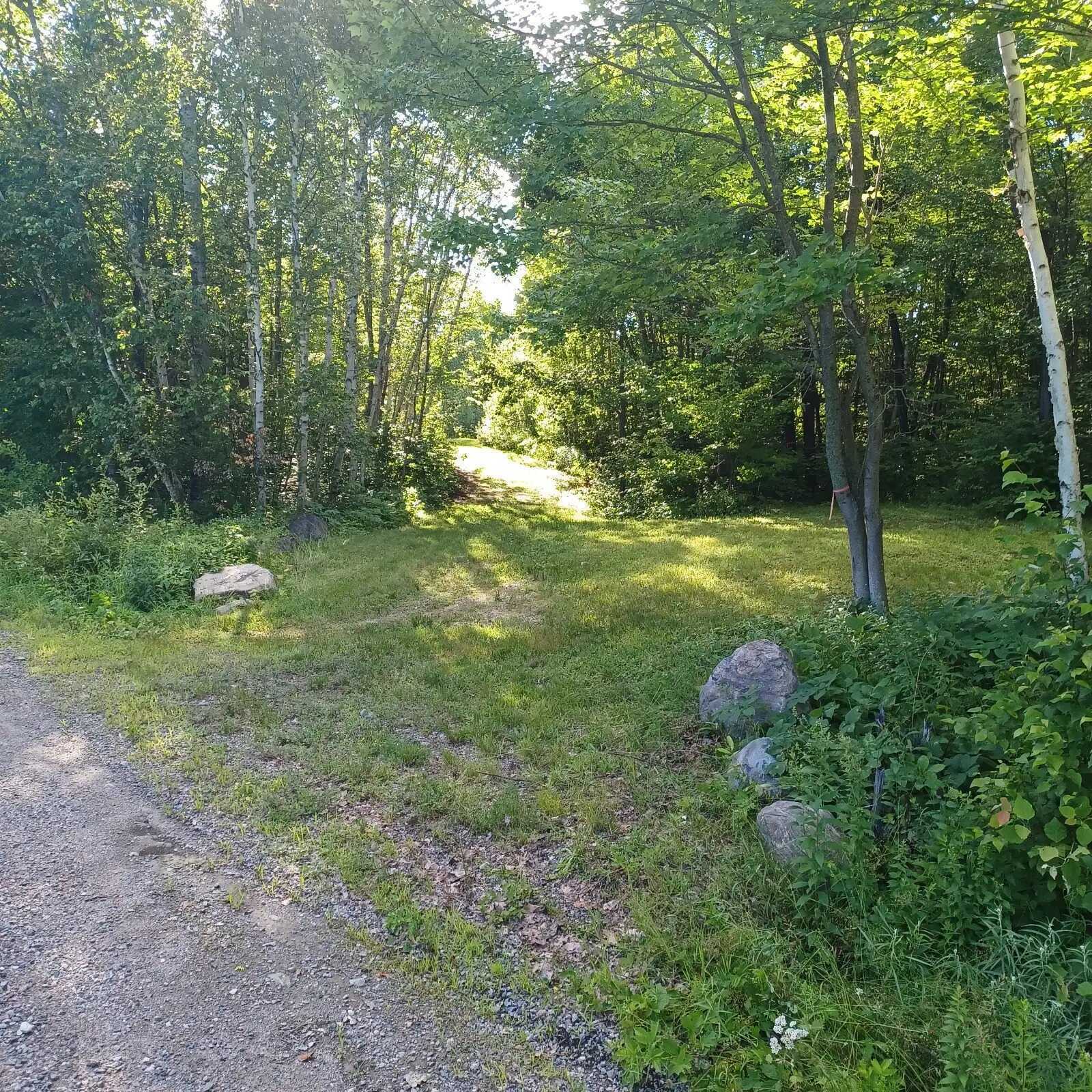 9 Acres For Sale on Paddy Lake Road 2