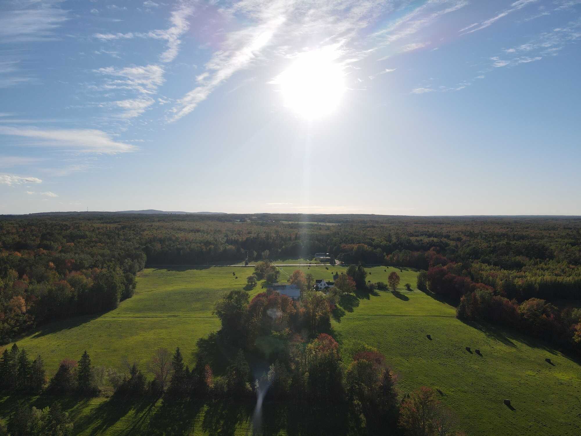 What a unique opportunity! Almost 96 acres of property! 5