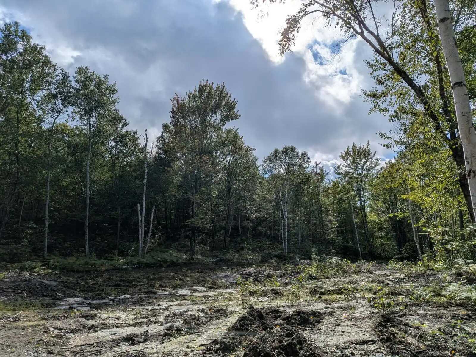 Vacant Land for Sale in Val Caron 4