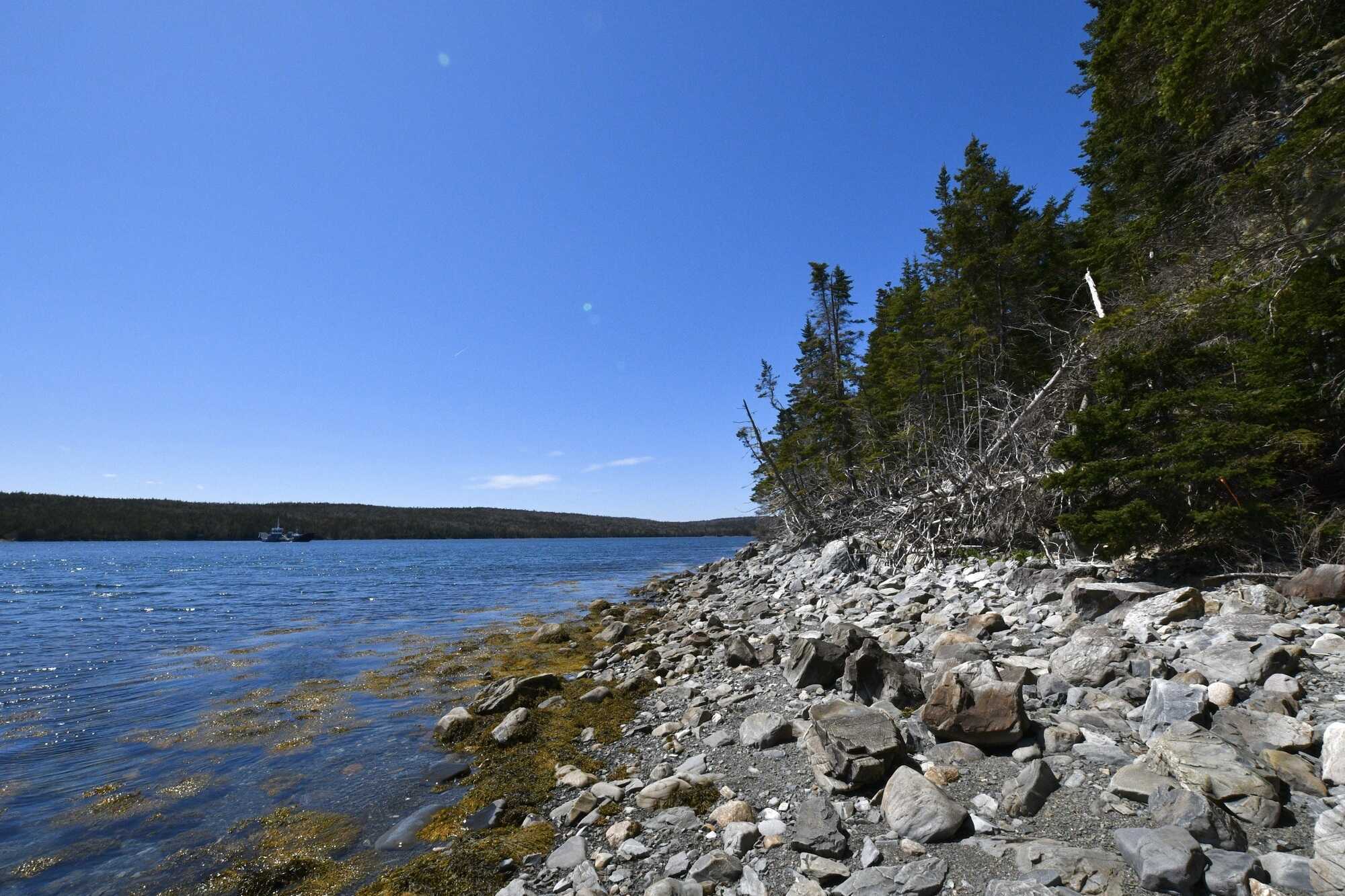 LOT 9: Exquisite Properties on the Atlantic Coast with Prime South-West Orientation 2