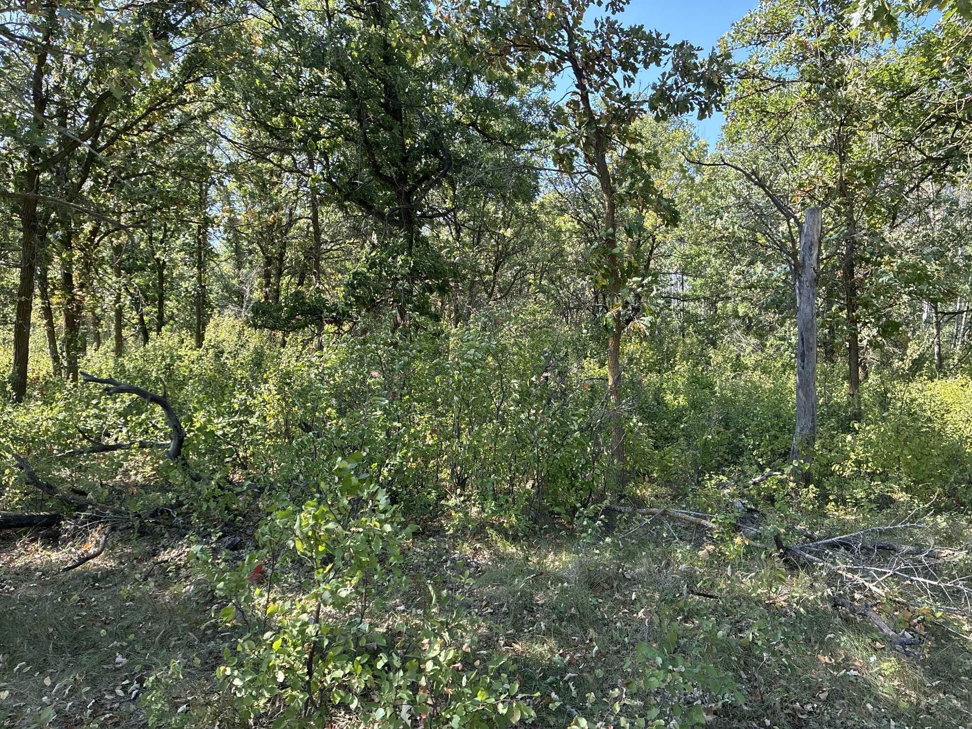 160 acres located on Dennis Lake 4