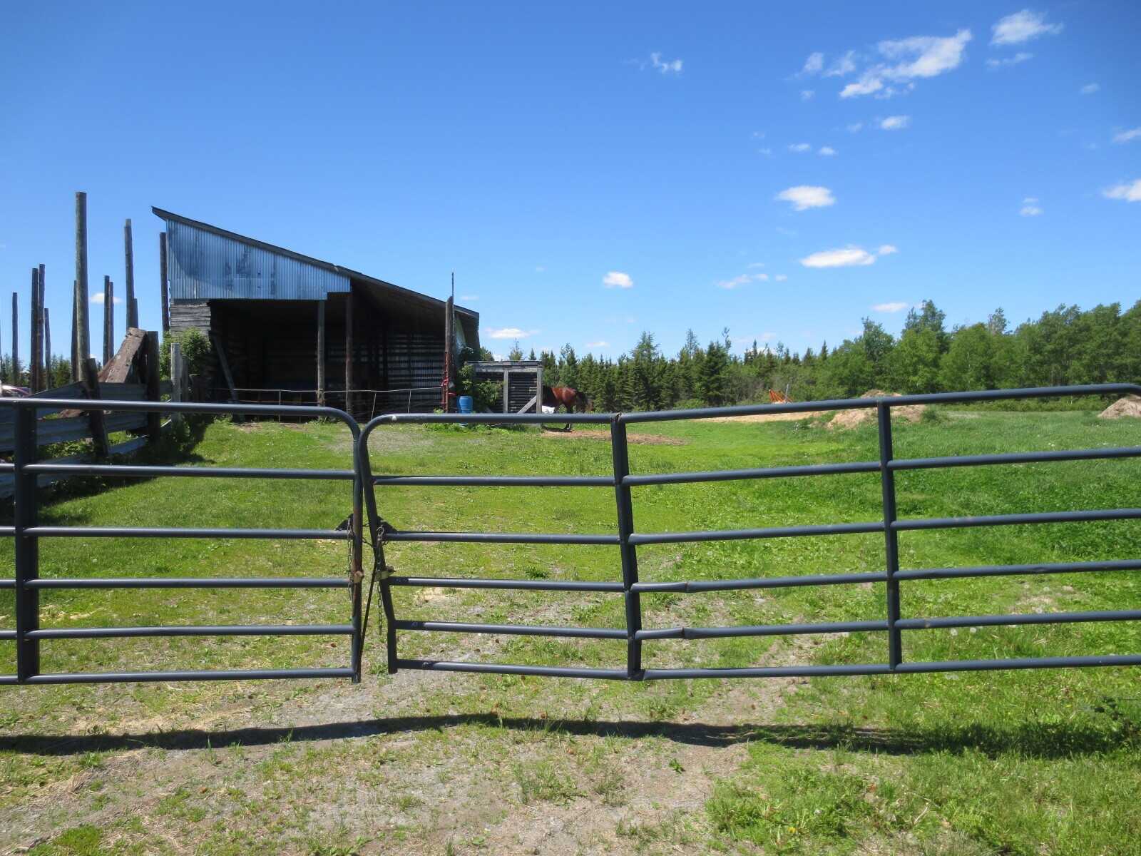 5 bedroom, 2 bathroom home nestled on 24 acres of open field 5