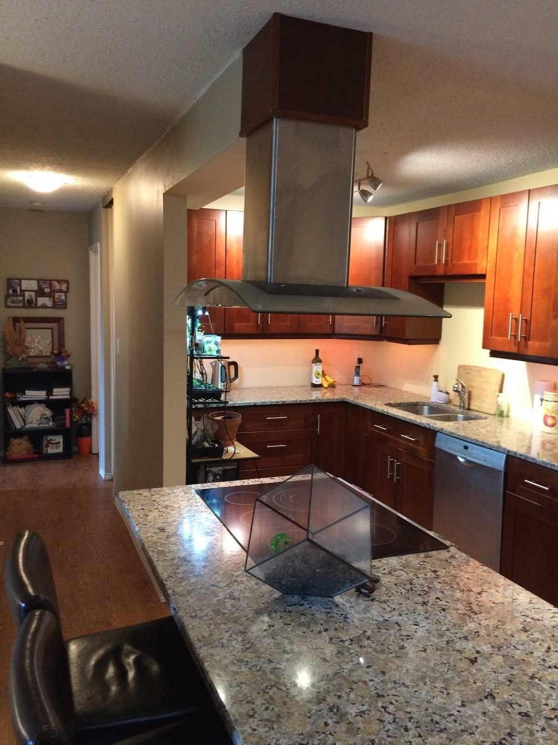 Open Concept Condo 4