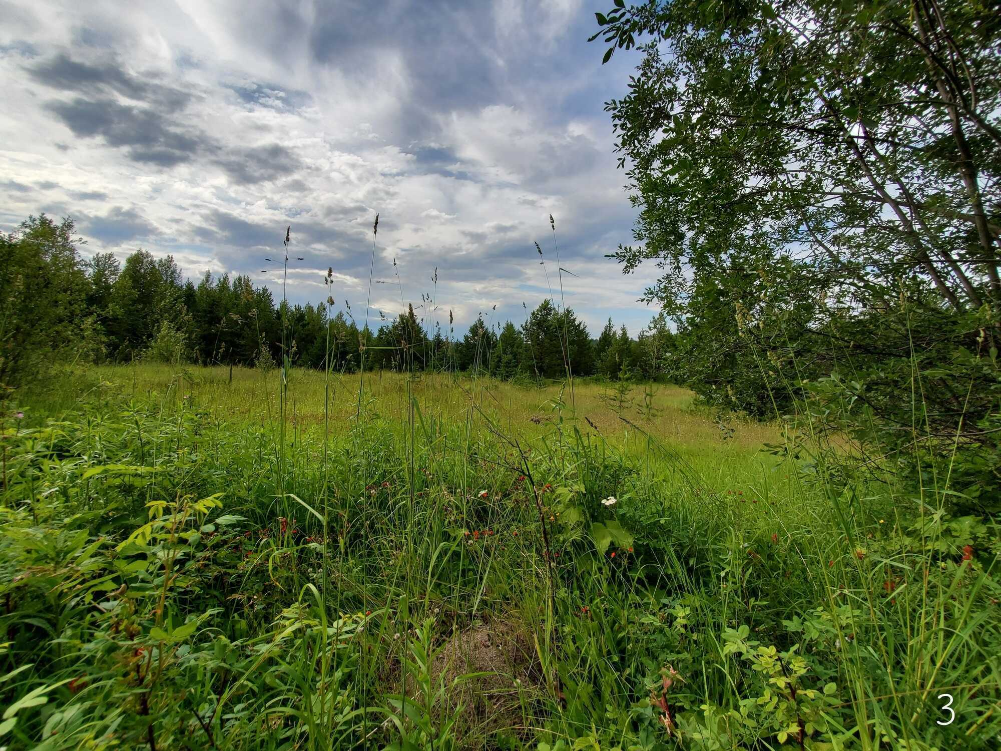 Stunning 5-Acre Property in the Peaceful 10 Mile Lake Area Near Quesnel, BC 3