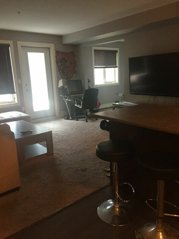 700 sq ft condo. 3