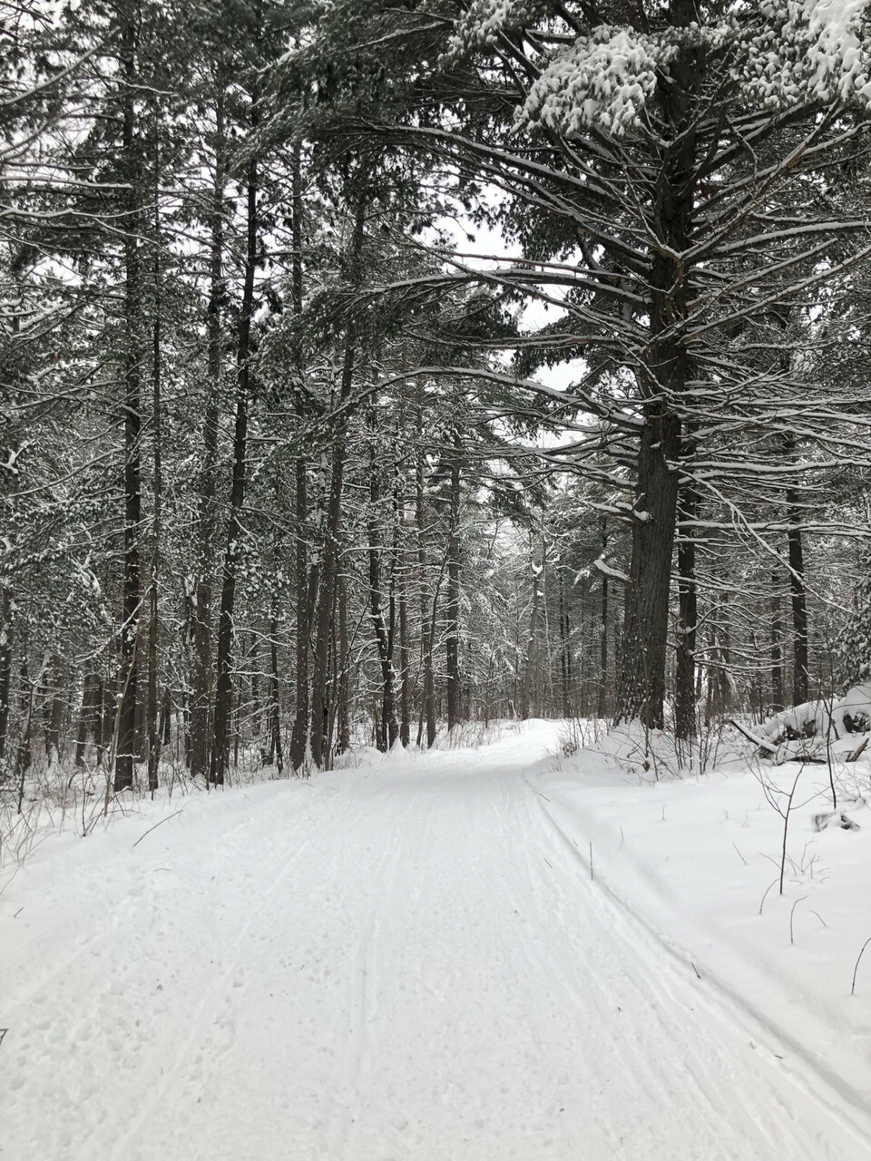 160 acres with lake access 3