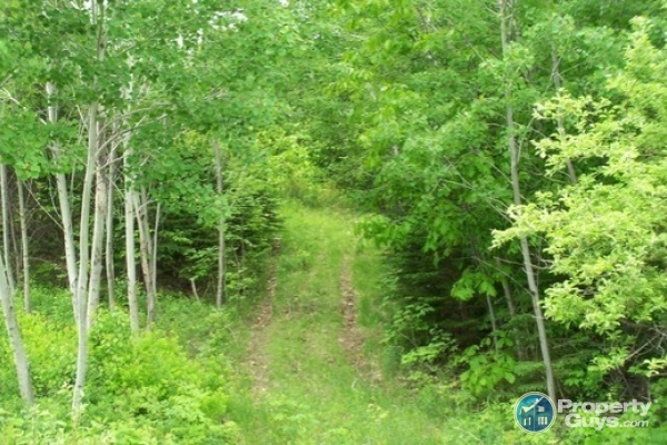 Riverview Road, Bear River 4