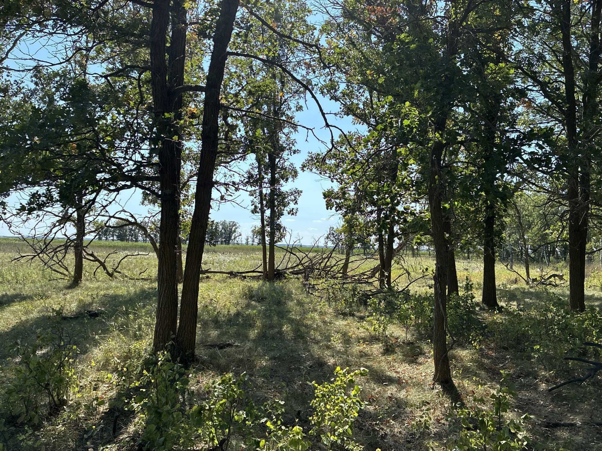 160 acres located on Dennis Lake 5