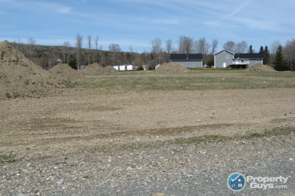 130 bogan Brook Rd., Grand Falls 4