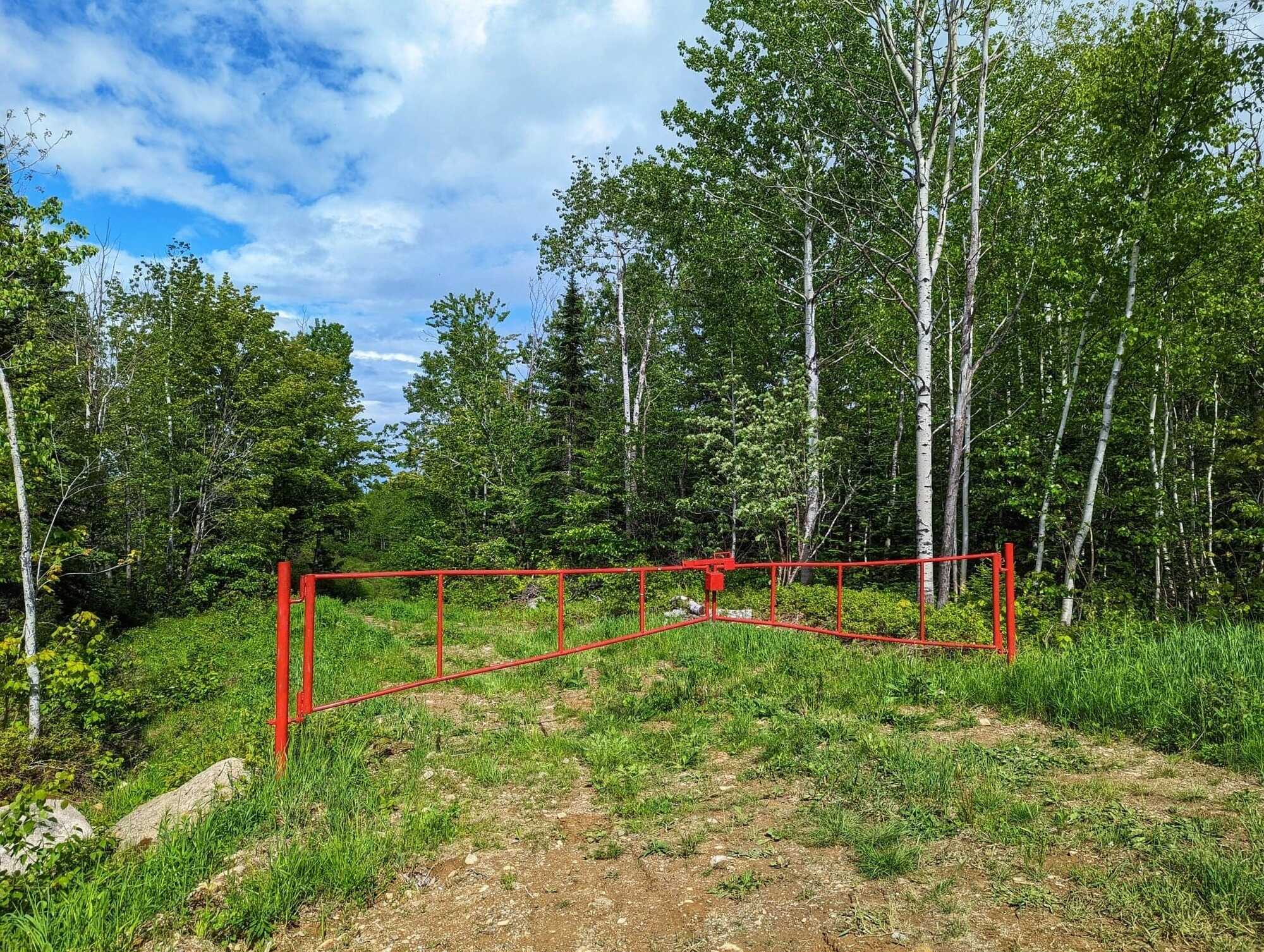 100 acre Wood Lot / Terre à bois 100 acres
TERRE A BOIS CONSTRUCTIBLE ET ÉRABLIERE POSSIBLE, WOOD-LOT POSSIBLE MAPLE GROVE 2