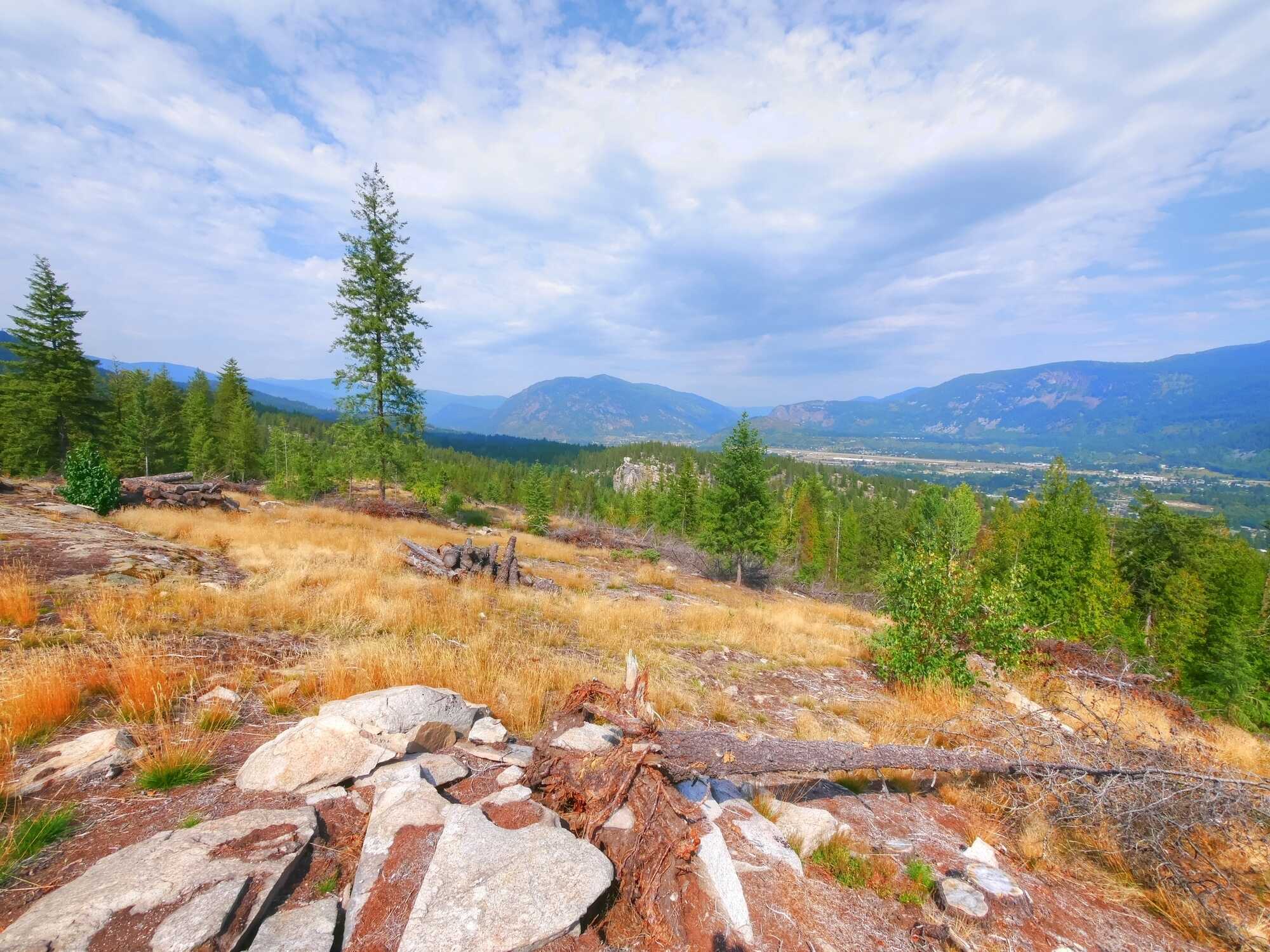 PANORAMIC VIEWS FROM THE MOUNTAIN!!  Own your own mountain!  40 Acres in the heart of Castlegar!  Development potential for Residential, Campground or Tiny Home Community 4