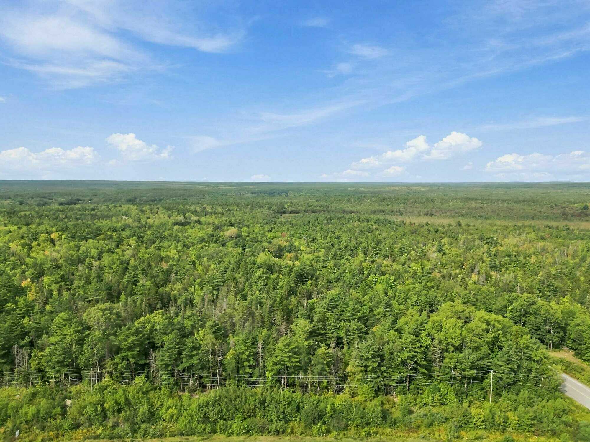 4 Acres of Vacant Land for Sale in Charleston, Nova Scotia 4