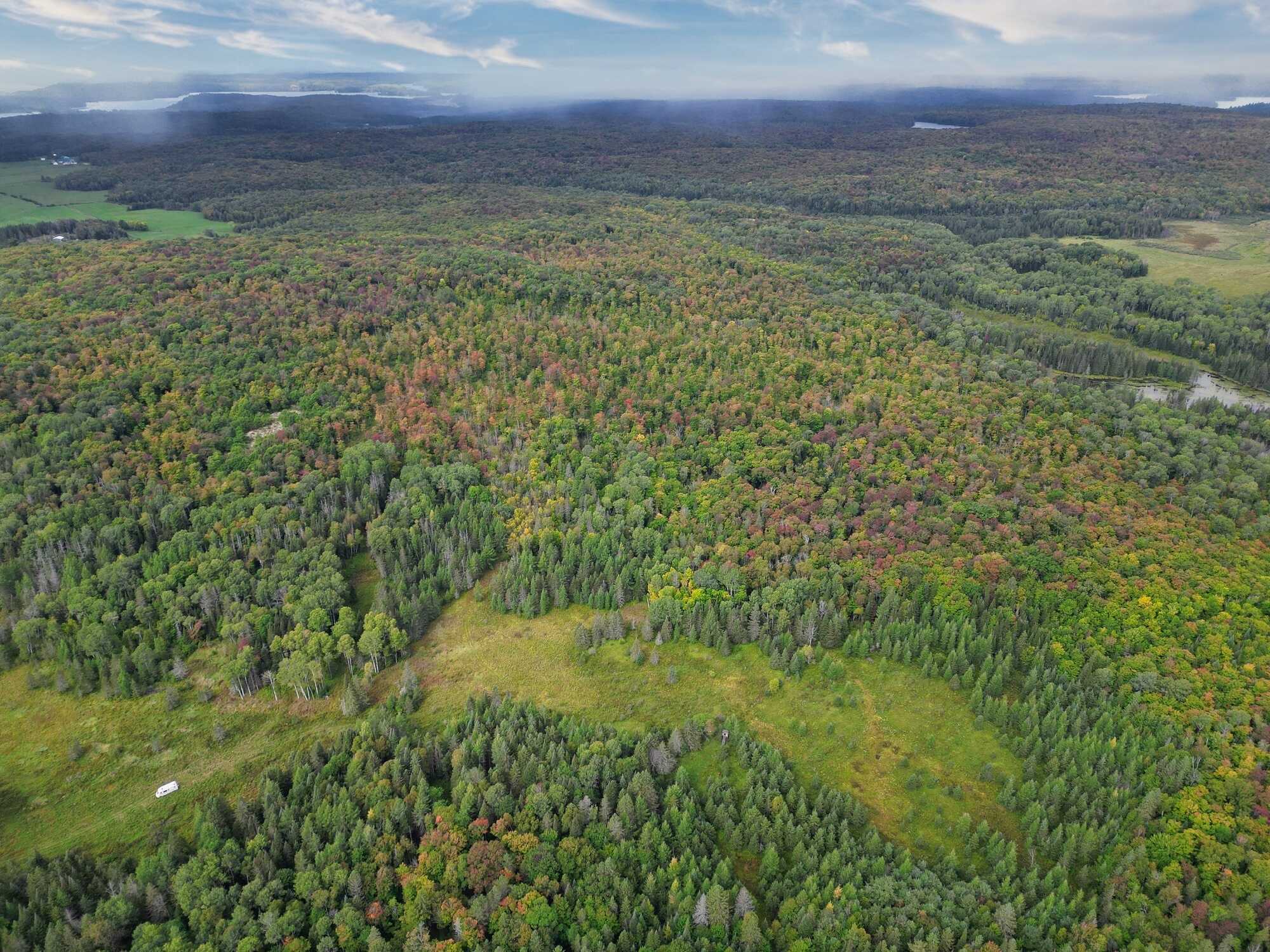 Lot 1 of 3 Prime Building Lots.
Nestled in the tranquil landscape of Burks Falls, Ontario, these three prime building lots offer a unique opportunity to create your dream home in a picturesque setting. 5