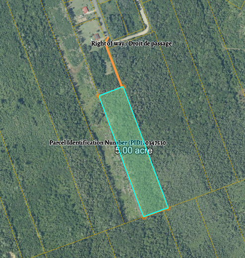Terrain boisé à vendre – Bertrand, N.-B.
Wooded Lot for Sale – Bertrand, NB 2