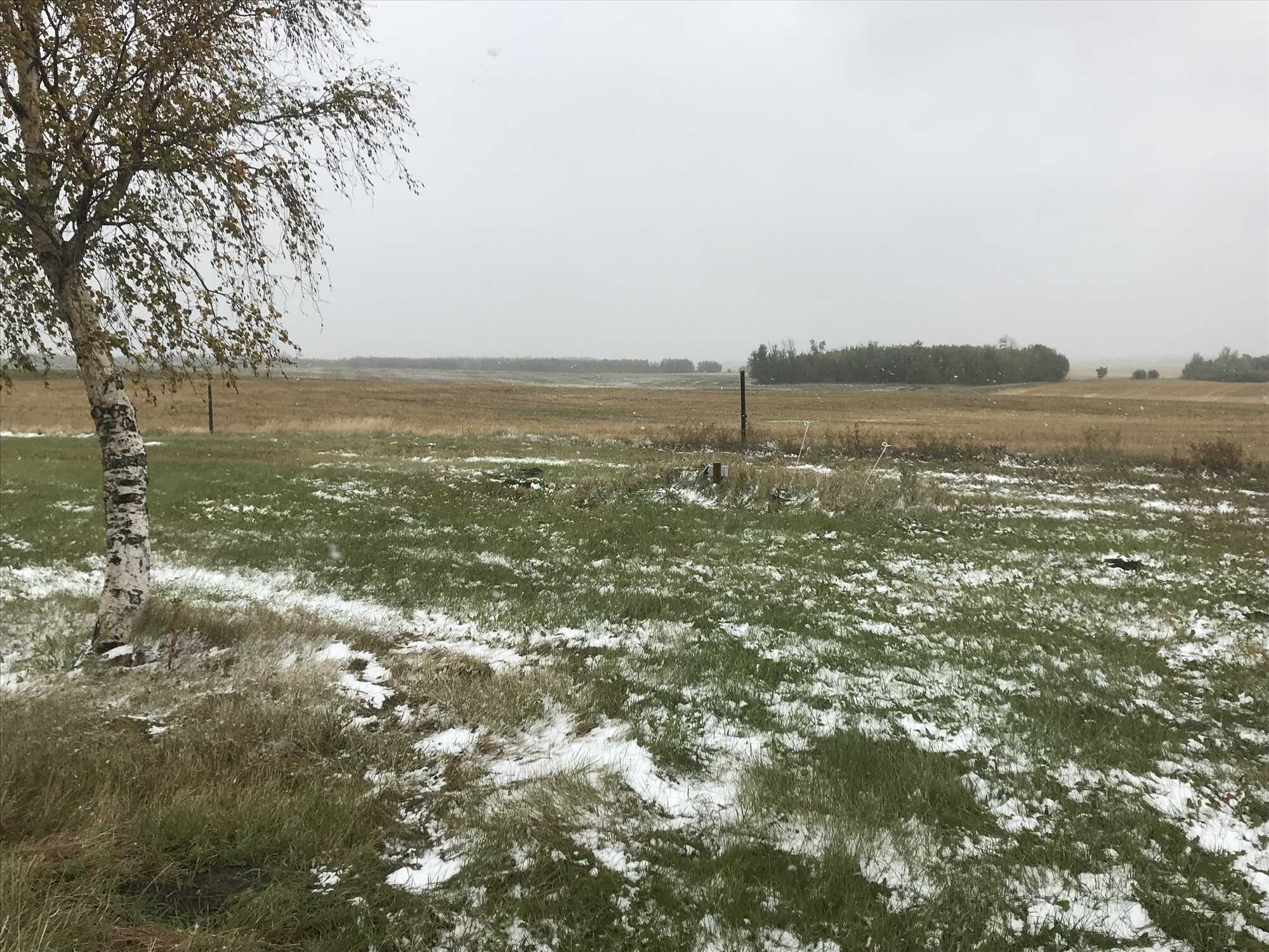 Land for Sale 5