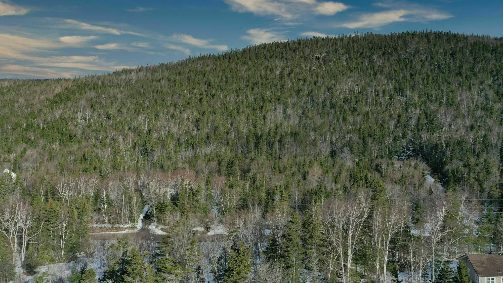 Build your dream home here! 5