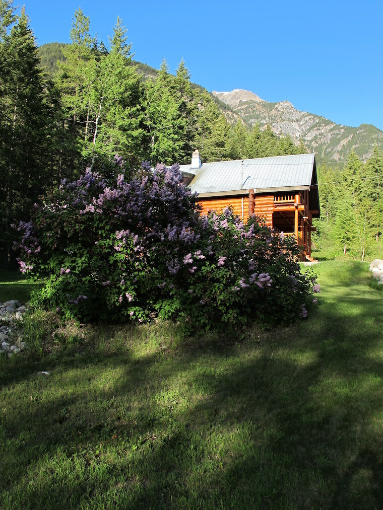 Magical Rustic Log Cabin provides Turnkey Short-Term Rental Investment with Expansion Potential on 4.2 Private Acres 4