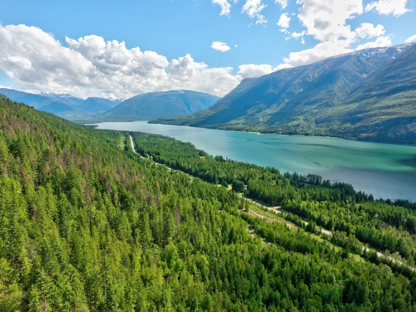 CALL OWNER DIRECTLY @ 403-499-9139!  HE IS NOT GOOD WITH COMPUTERS!  Lakeview Acreage! Ackerman Creek runs through property! This piece of land is ready and waiting for a new home! Amazing views of pristine Arrow Lake Reservoir!! 5